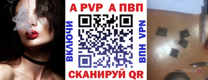 магазин    Новодвинск  A PVP СК 